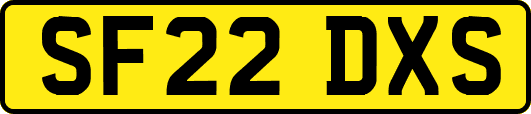 SF22DXS