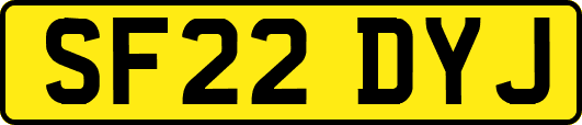 SF22DYJ