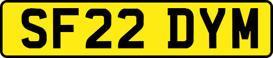 SF22DYM