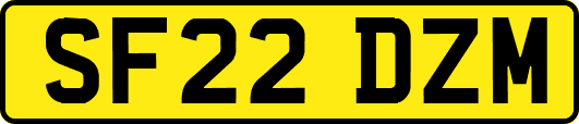 SF22DZM