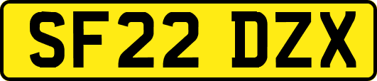 SF22DZX