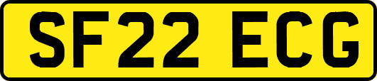 SF22ECG