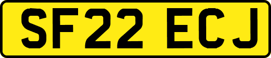 SF22ECJ