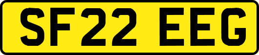SF22EEG