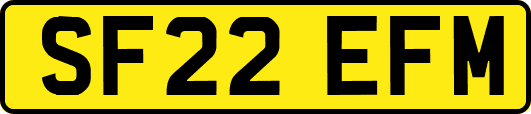 SF22EFM