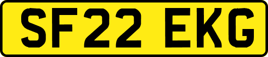 SF22EKG