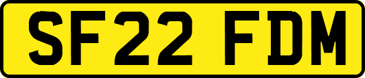 SF22FDM