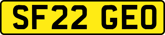 SF22GEO