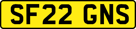 SF22GNS