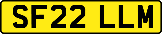SF22LLM