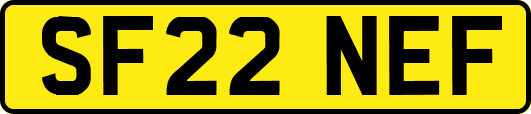 SF22NEF