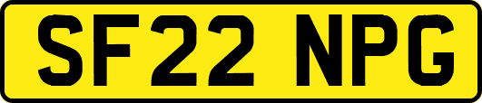SF22NPG