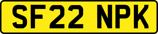 SF22NPK