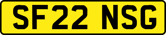 SF22NSG