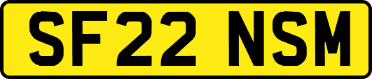 SF22NSM