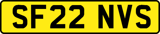 SF22NVS