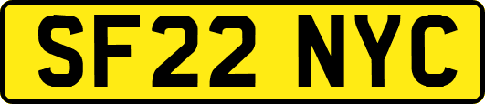 SF22NYC