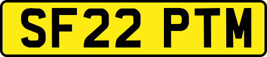 SF22PTM