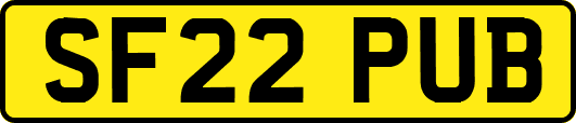 SF22PUB