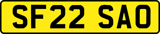 SF22SAO