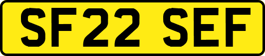 SF22SEF
