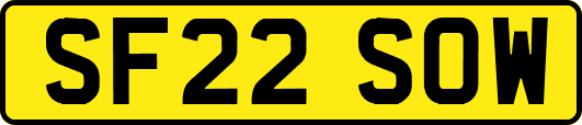 SF22SOW