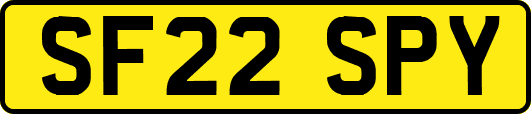 SF22SPY