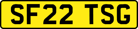 SF22TSG