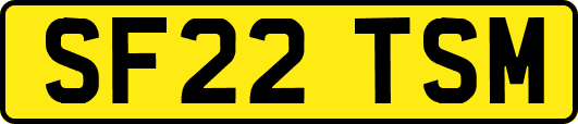 SF22TSM