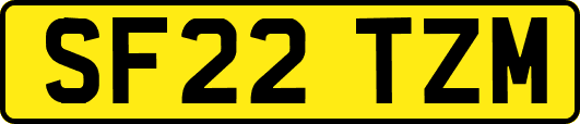 SF22TZM