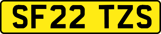 SF22TZS