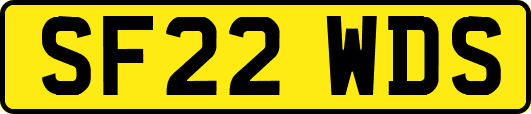 SF22WDS