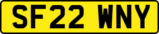 SF22WNY