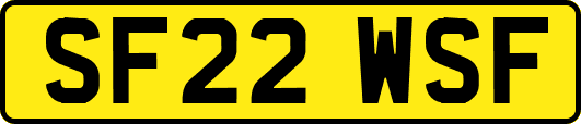 SF22WSF