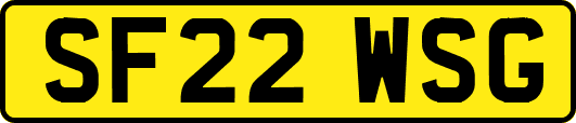 SF22WSG