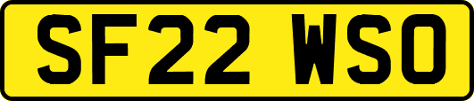 SF22WSO