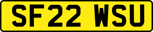 SF22WSU