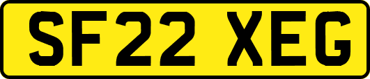 SF22XEG