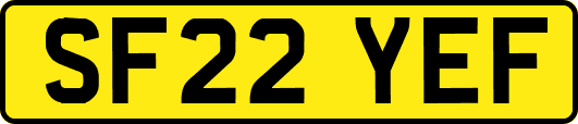 SF22YEF