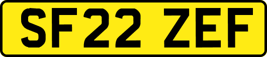 SF22ZEF