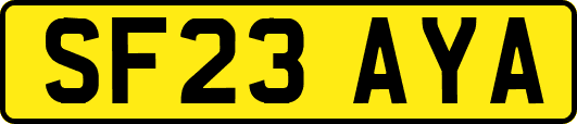 SF23AYA