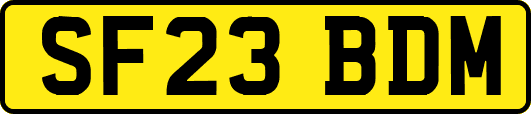 SF23BDM