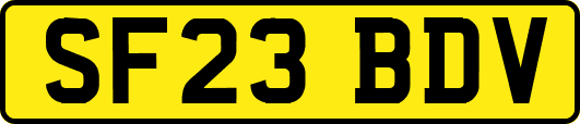 SF23BDV