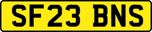 SF23BNS