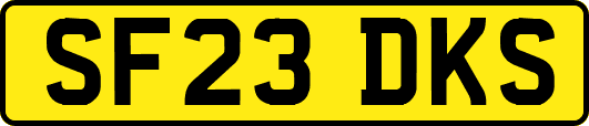 SF23DKS