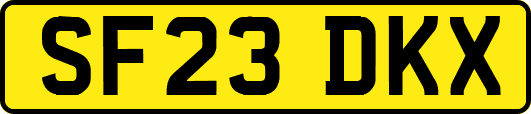 SF23DKX
