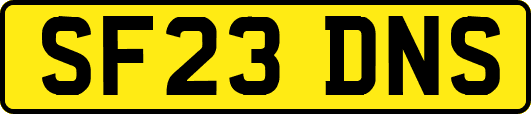 SF23DNS