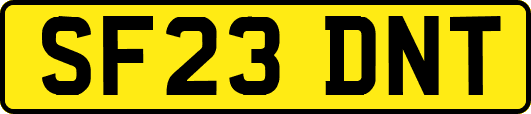 SF23DNT