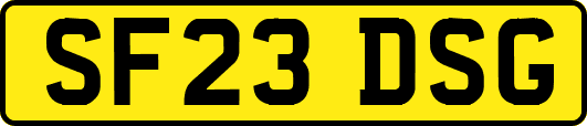 SF23DSG