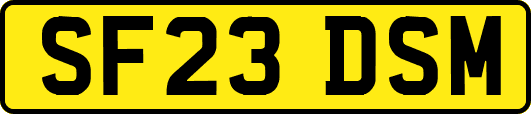 SF23DSM